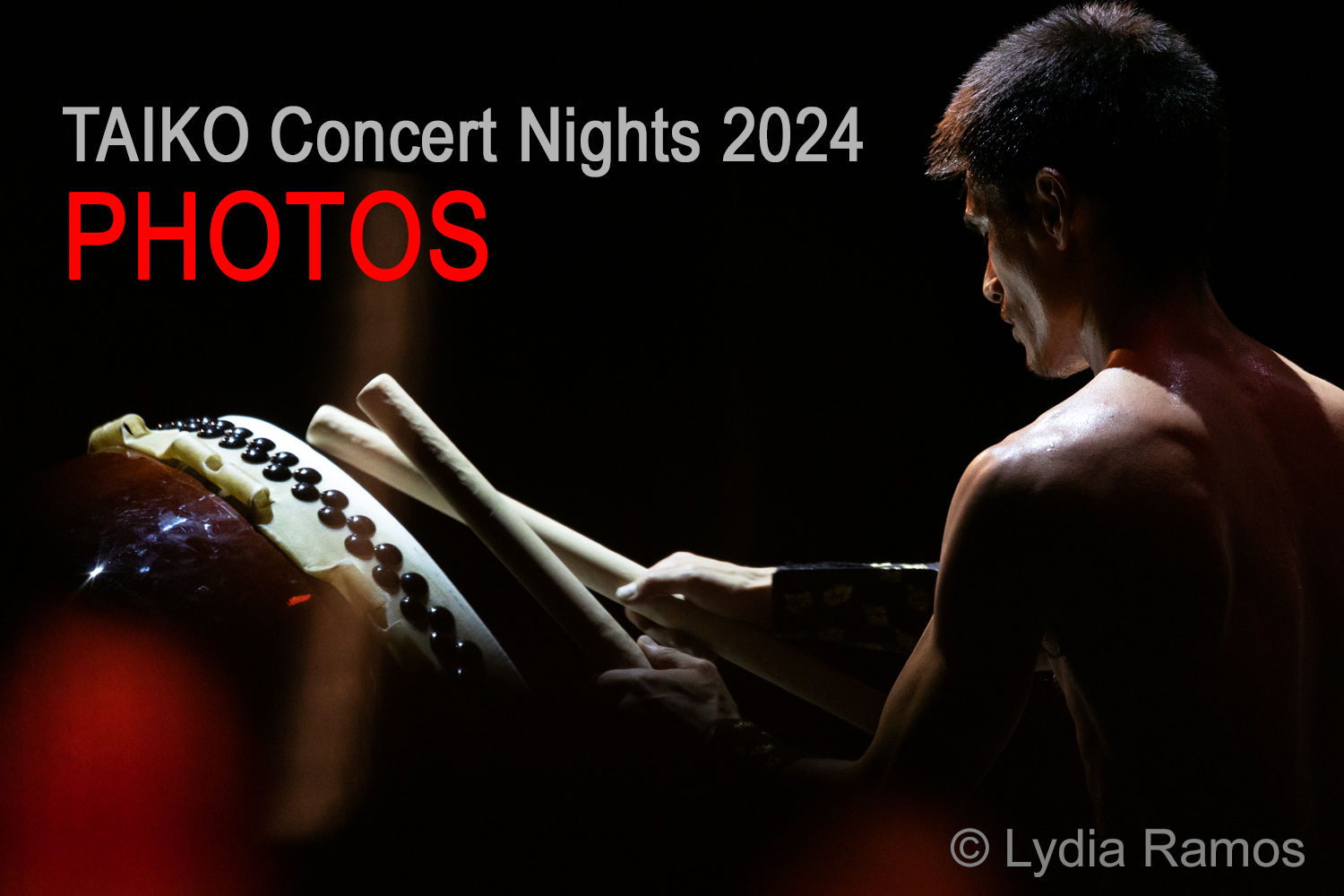 TAIKO Concert Nights PHOTOS 2024